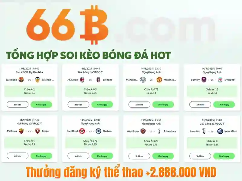 66b nguyễn sỹ sách p15 tân bình trường con – Trải nghiệm thương hiệu và giá trị đích thực