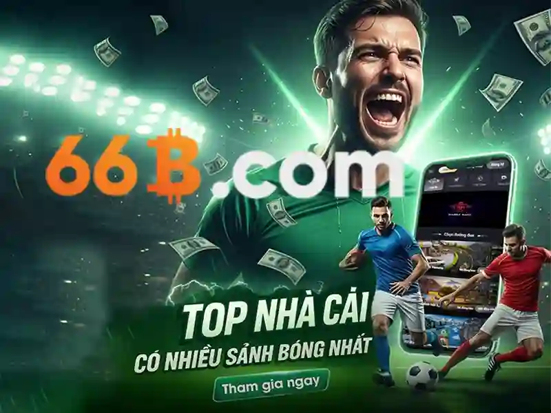 66b là gì và tác động của nó trong công nghệ hiện đại