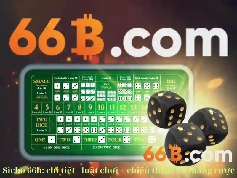 66b là gì và tại sao được quan tâm
