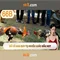 66B: Mô hình ngôn ngữ 66 tỷ tham số và vai trò trong AI