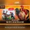 66B: Tổng quan về mô hình 66 tỷ tham số