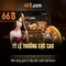 66B: Kỹ thuật và ứng dụng của mô hình ngôn ngữ 66 tỷ tham số