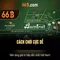 66B: Kích thước mô hình ngôn ngữ và ý nghĩa