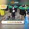 66B: Khái niệm, lịch sử và ứng dụng