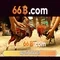 66b: Định nghĩa, nguồn gốc và ứng dụng