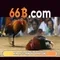 Về mô hình 66B: tổng quan và ứng dụng